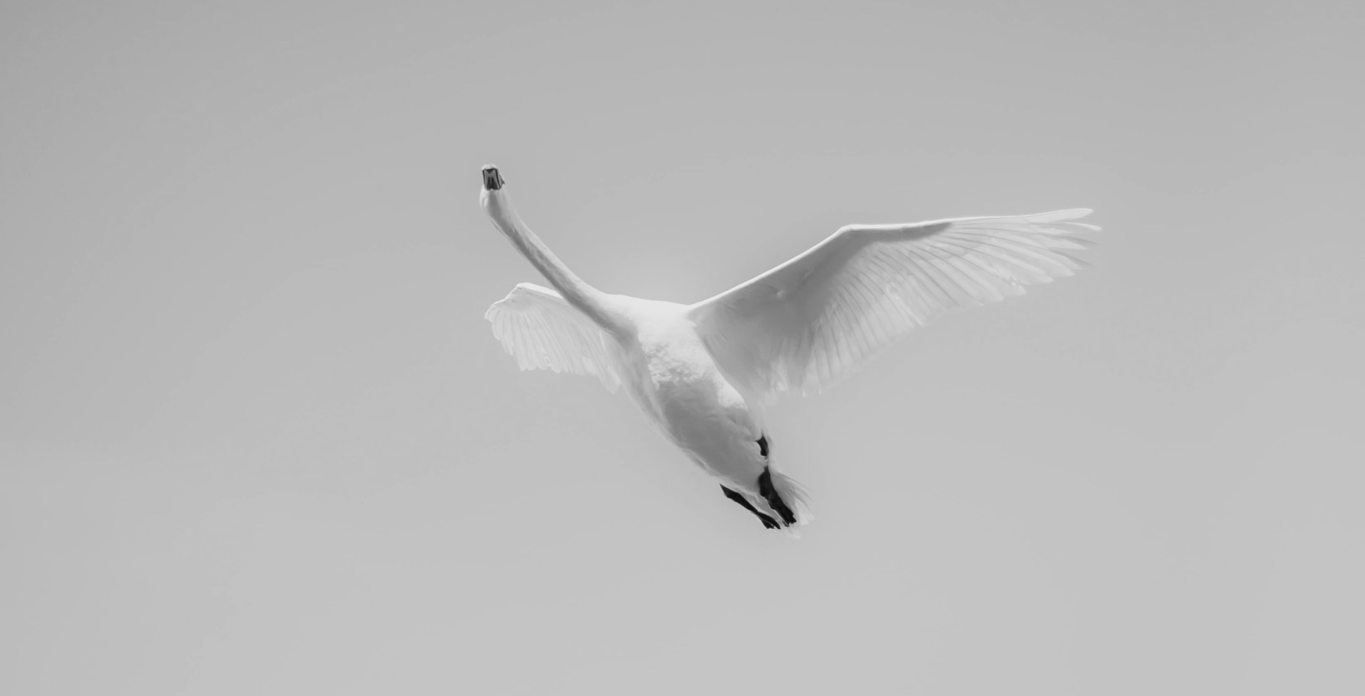 HomePage-Air.jpg